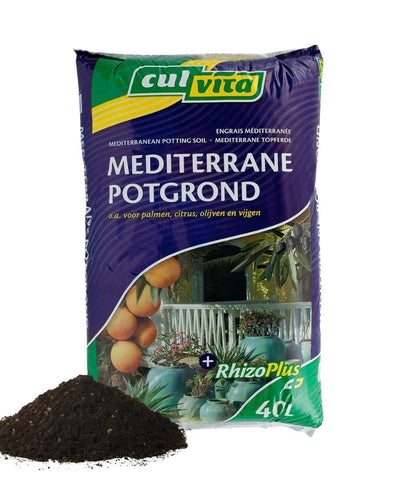 Mediterrane potgrond voor olijf, citrus en palm in pot