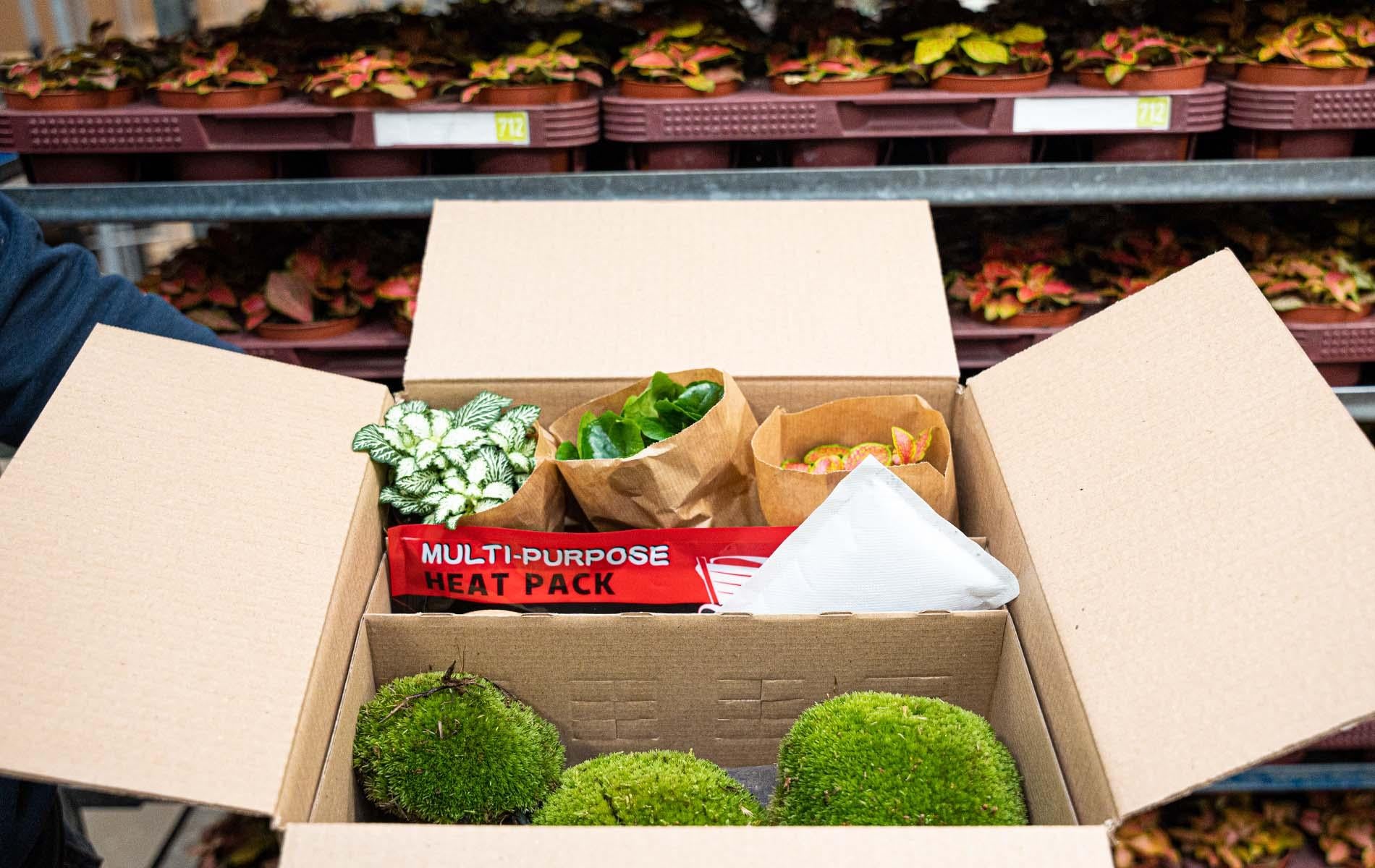 Selected Variant Image