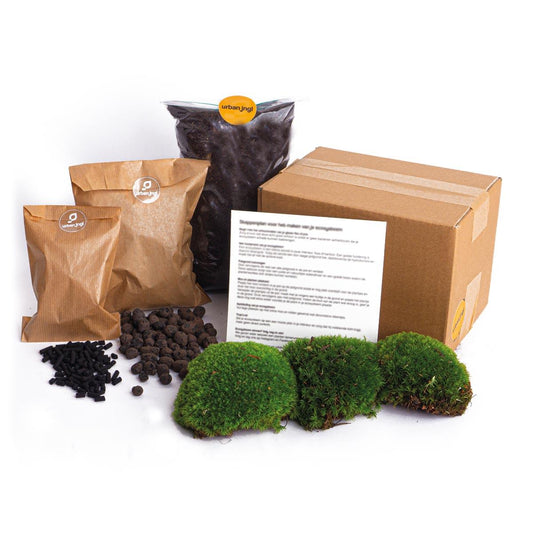 DIY navulpakket voor planten terrarium – complete set met bolmossen, terrariumgrond, hydrokorrels en actieve kool – geschikt voor glazen potten van 20–30 cm Ø

Bij planttoday . Groenblog