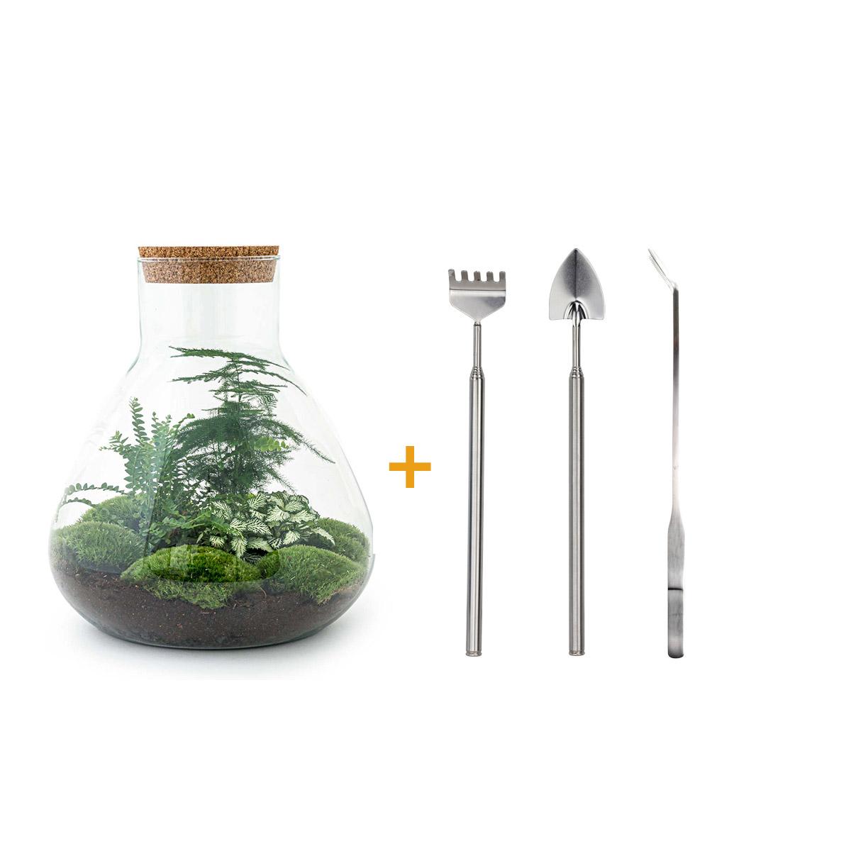 DIY Terrarium Sam XL Green | Terrarium Planten