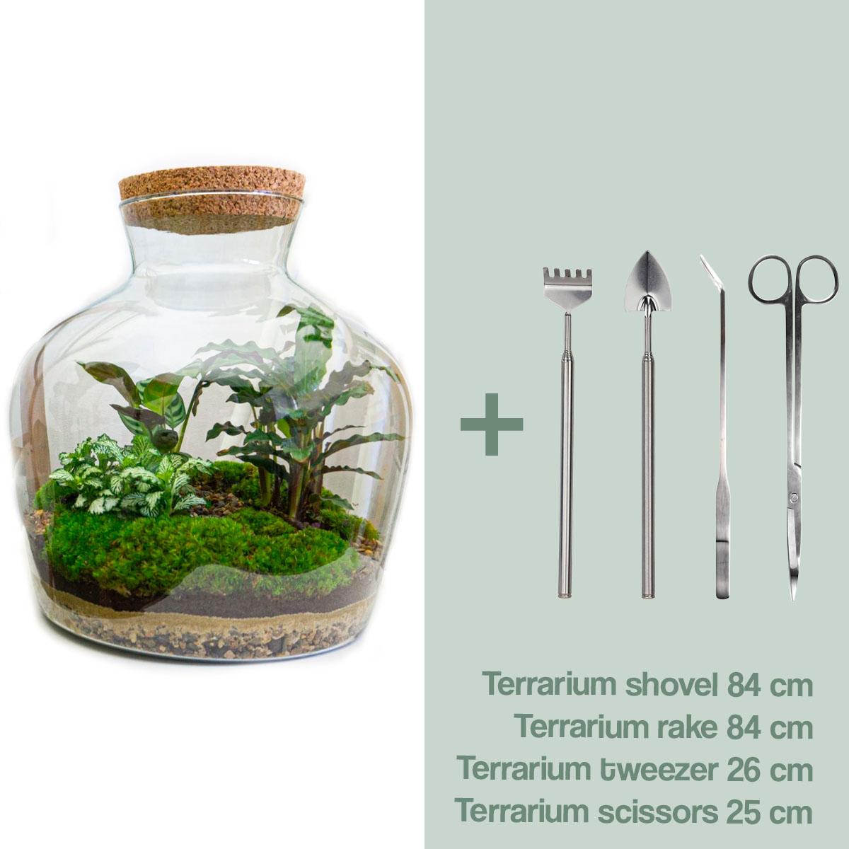 DIY Planten terrarium met led | Fat Joey