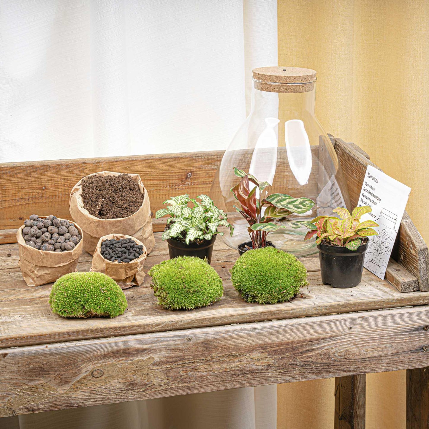 DIY Planten terrarium met licht | Sam XL Red