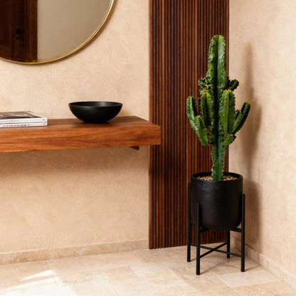 Euphorbia eritrea | Afrikaanse melkboom |Weinig onderhoud