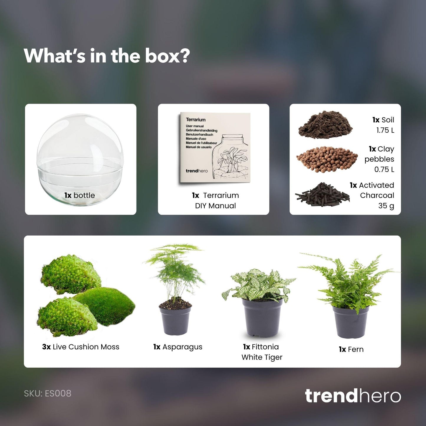 DIY Planten Terrarium Tweedelig Bolglas | Dome XL