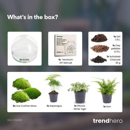 DIY Planten Terrarium Tweedelig Bolglas | Dome XL