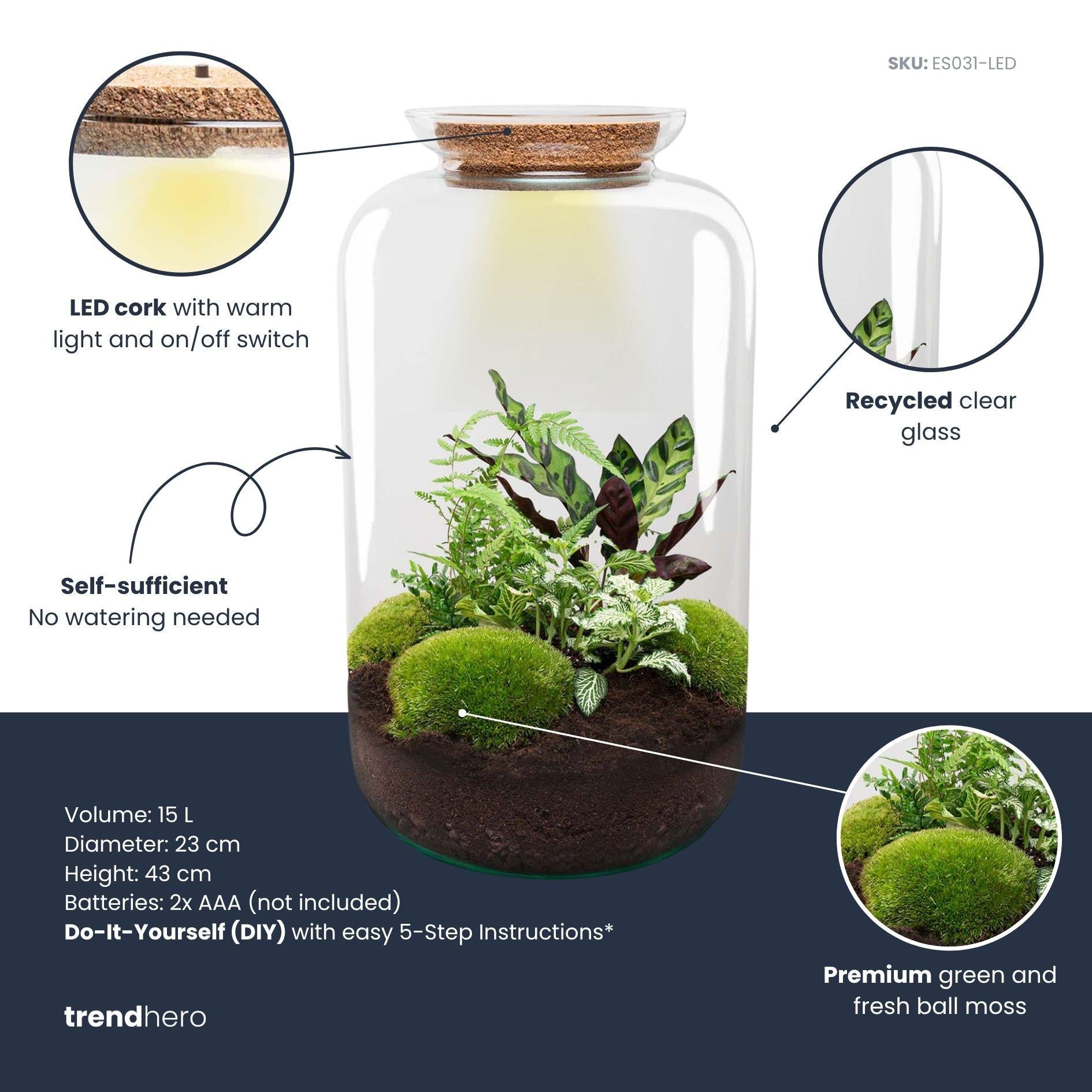 XL terrarium met LED-kurk en groene planten.