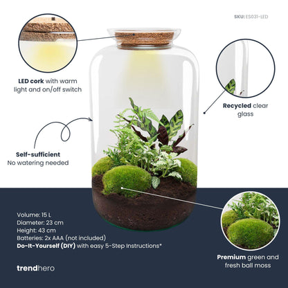 XL terrarium met LED-kurk en groene planten.