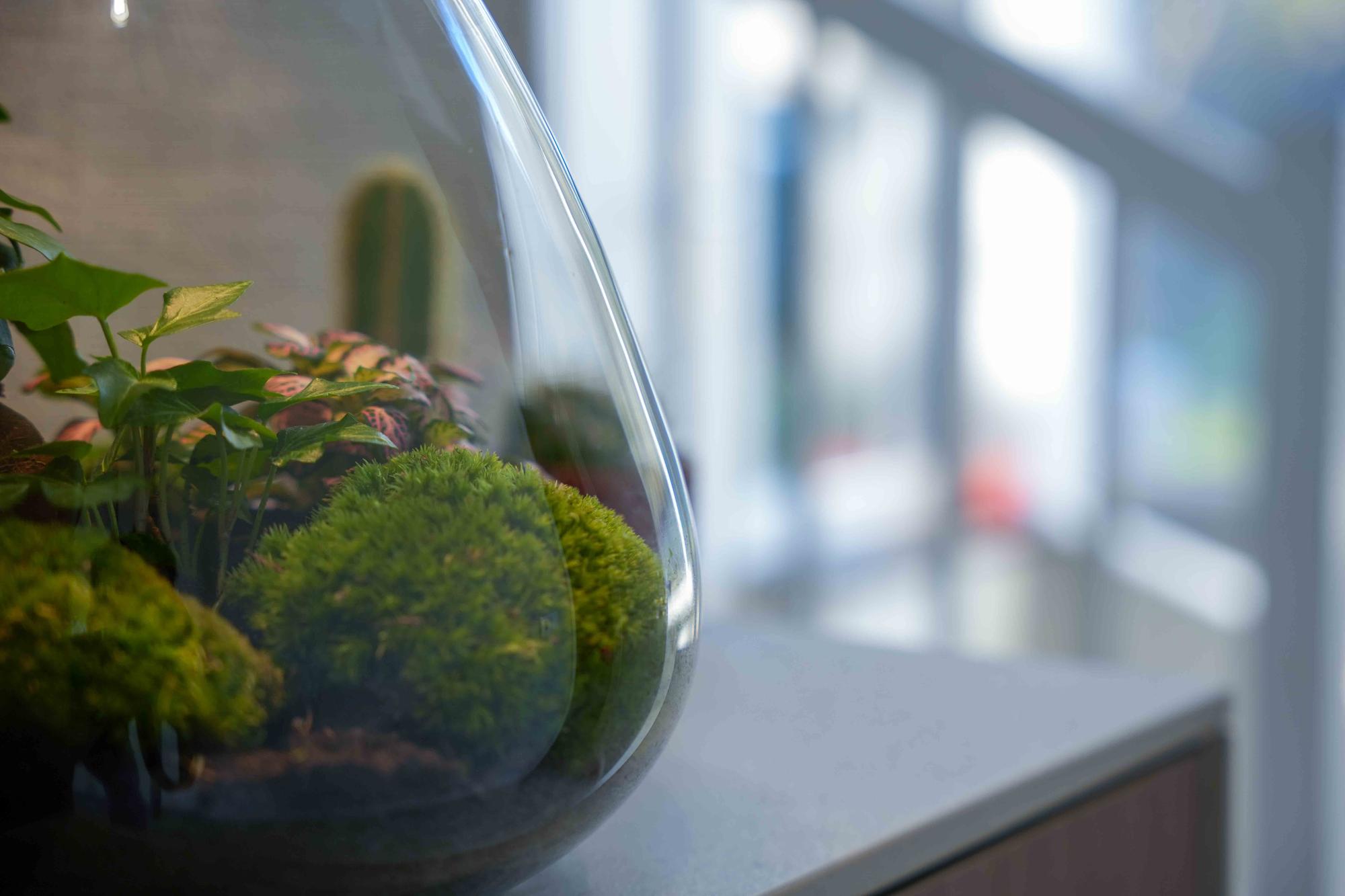 'LOVE MOM' terrarium Sam + gegraveerde kurk met licht - Fles terrarium DIY kit | Moederdag