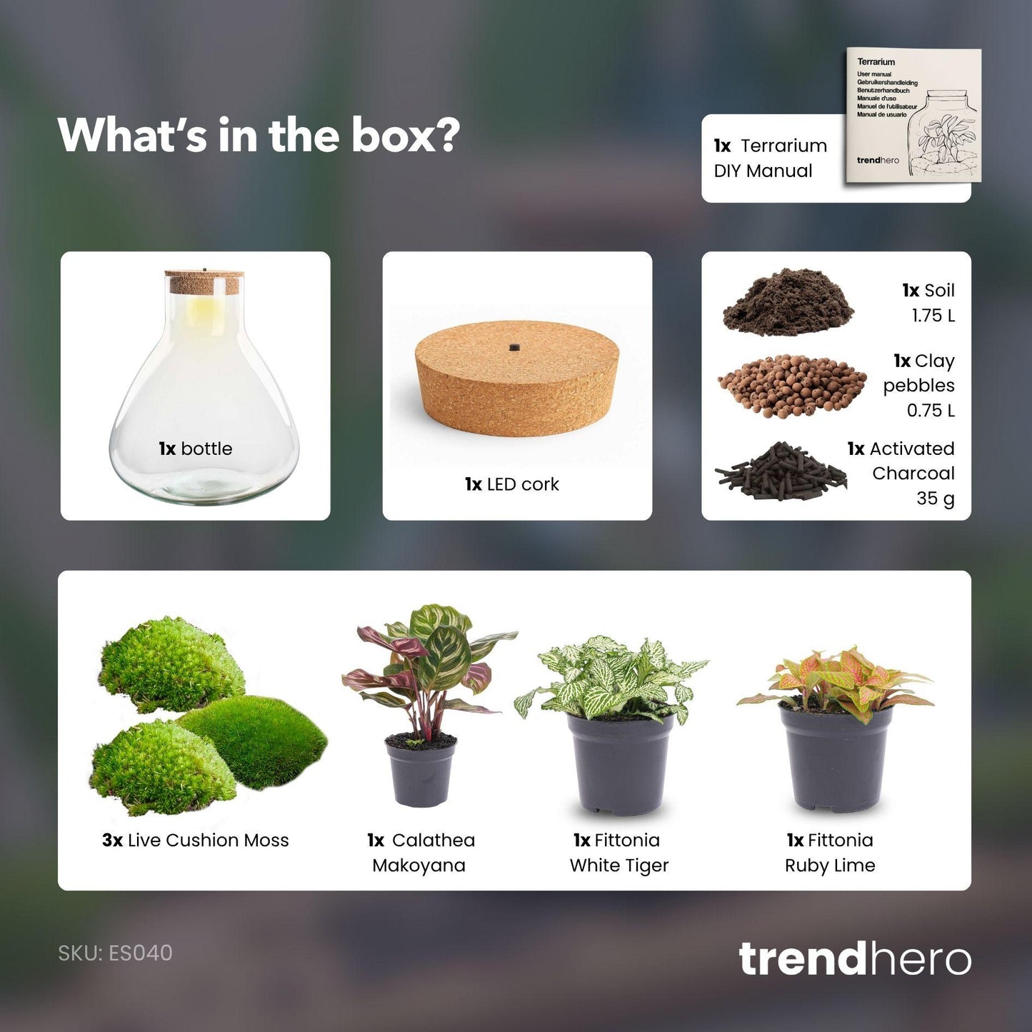 DIY Planten terrarium met licht | Sam XL Red