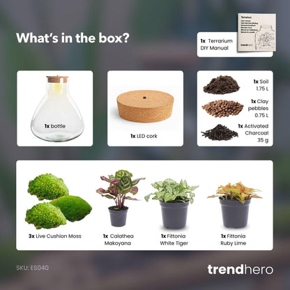 DIY Planten terrarium met licht | Sam XL Red
