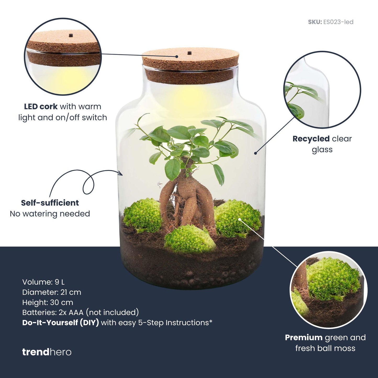 DIY Planten terrarium met licht | Milky Bonsai