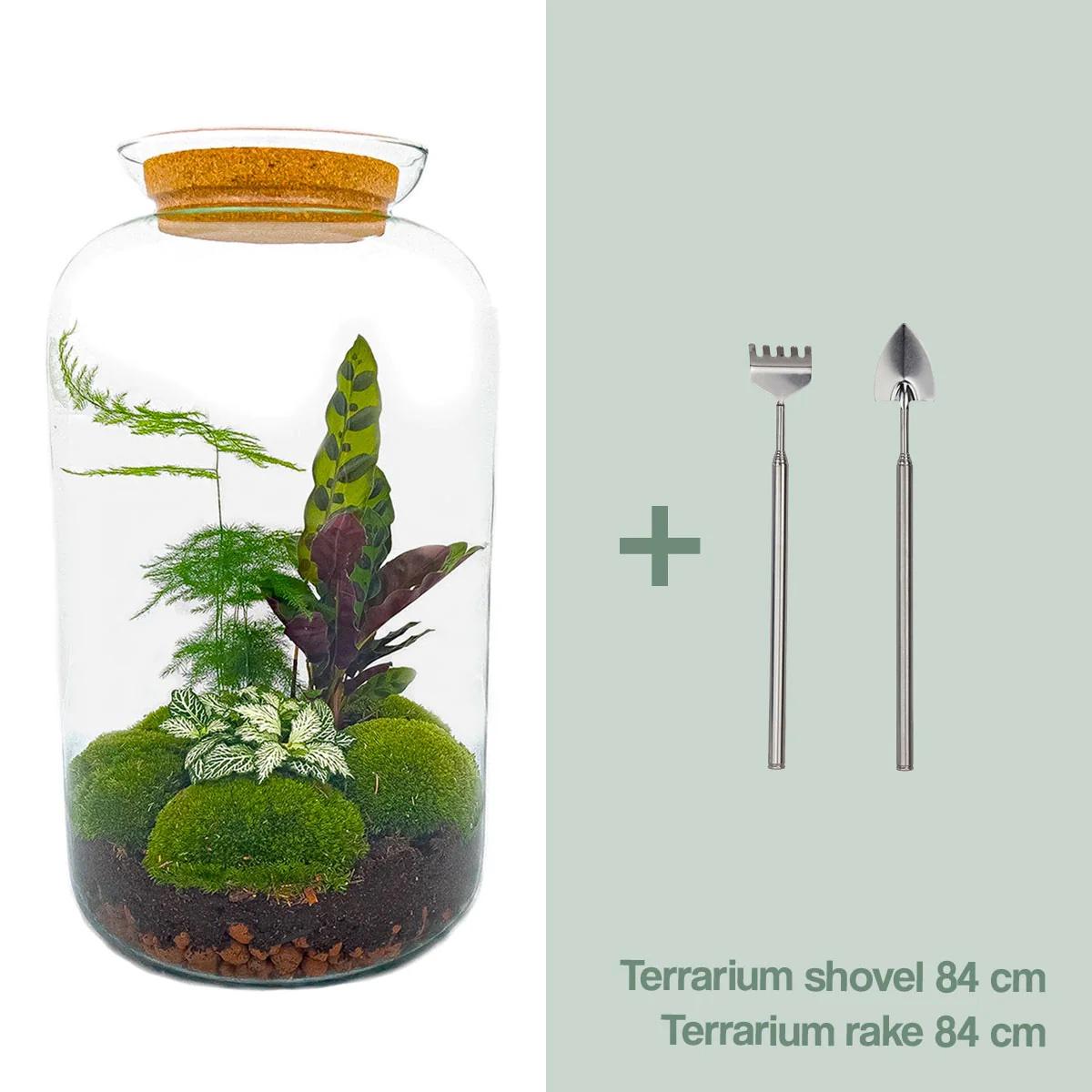DIY Planten terrarium met licht | Sven XL Botanical