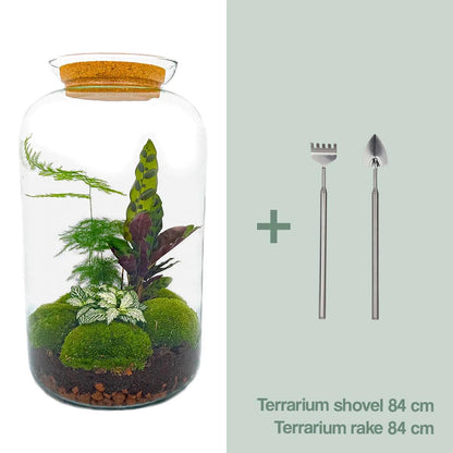 DIY Planten terrarium met licht | Sven XL Botanical