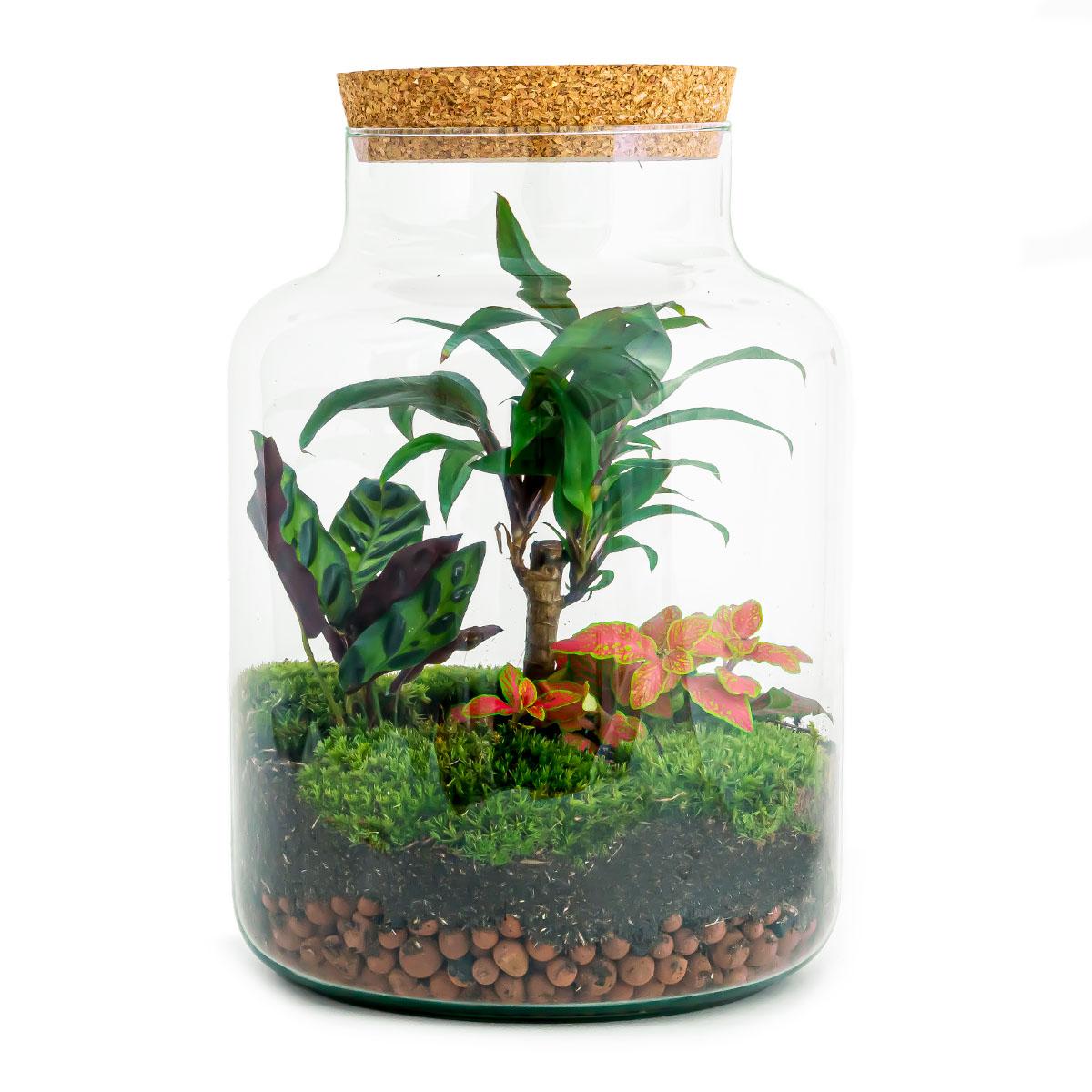 jungle fles van planttoday