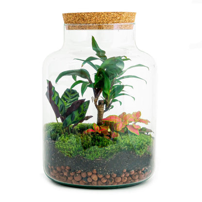 jungle fles van planttoday