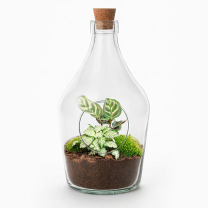 Glazen terrarium met groene planten voor interieur