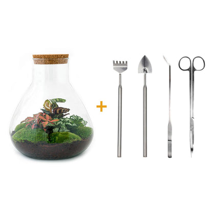DIY Planten terrarium met licht | Sam XL Red