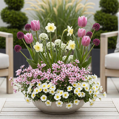 Bulb Garden Pink Mix bloembollen in cadeauverpakking – diverse roze soorten voor borders en potten
