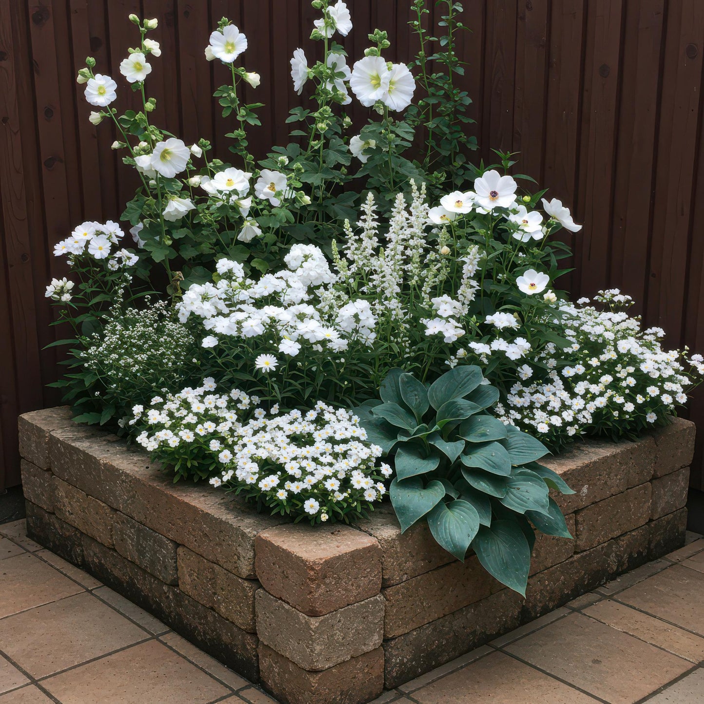 Borderpakket - Kleur Wit - 8 Vaste planten - 1 m2 - Diversen kleuren - Weinig Onderhoud - Pot 11cm
