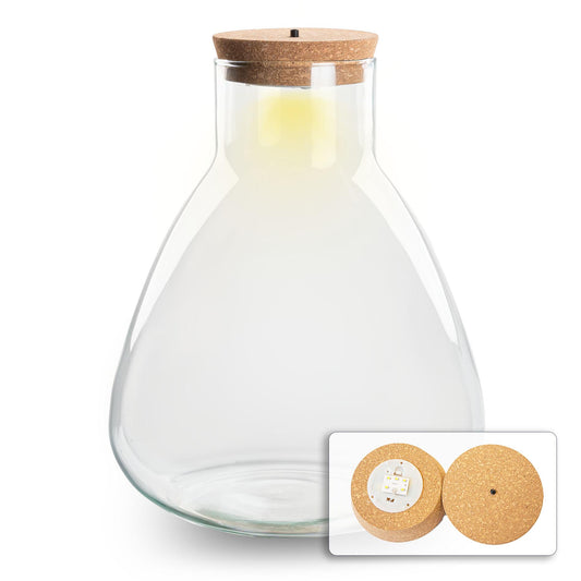 Glazen Erlenmeyer terrariumfles van 30 cm hoog met afsluitbare LED kurk – stijlvol gesloten mini-ecosysteem