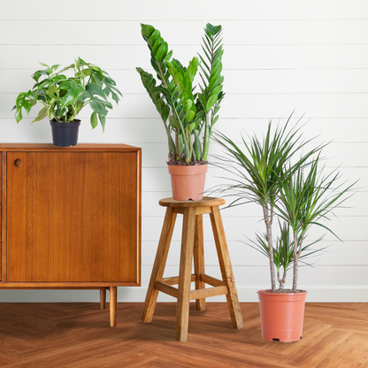 3 x Schaduw Plantenbox | Kamerplanten | zonder sierpot