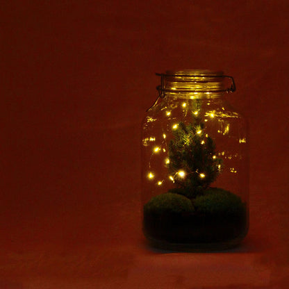 DIY terrarium | Jar Christmas | Jingle  bells