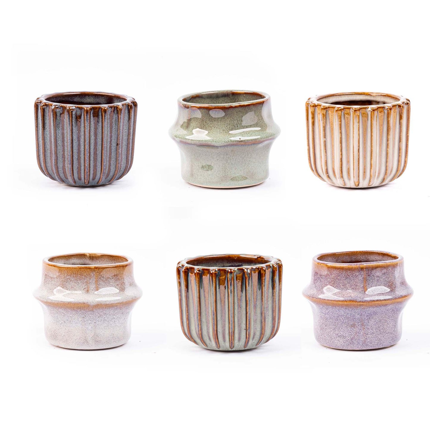 Mini Planten Set 6 – Inclusief Pot Set Barcelona | Kamerplant