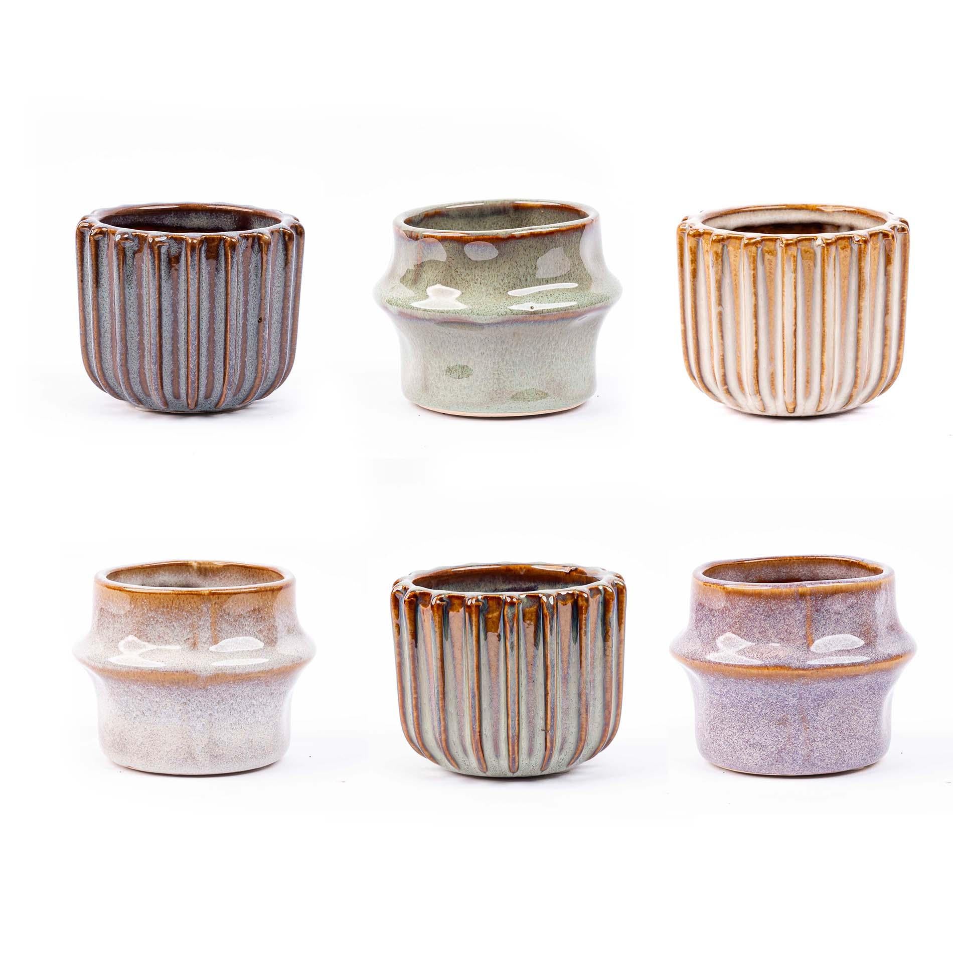 Mini Planten Set 6 – Inclusief Pot Set Barcelona | Kamerplant