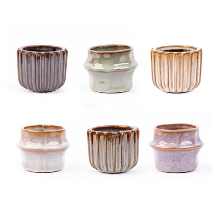 Mini Planten Set 6 – Inclusief Pot Set Barcelona | Kamerplant