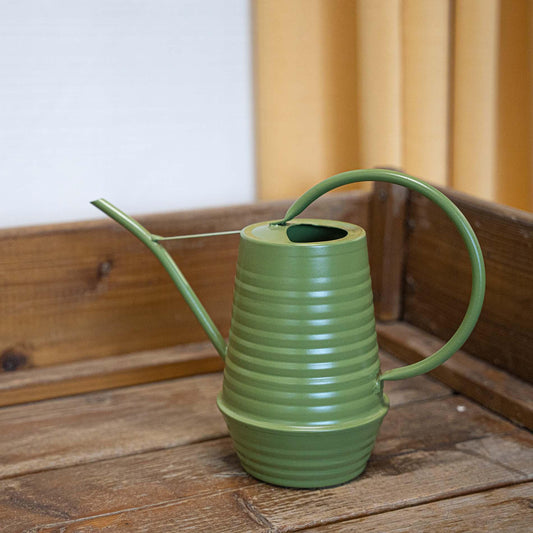 Groene bloemengieter van zink, 1 liter, met lange tuit en ergonomisch handvat voor gericht water geven aan binnenplanten en kleine tuinplanten, afmetingen 24,7x10,6x18,6 cm. Gieter