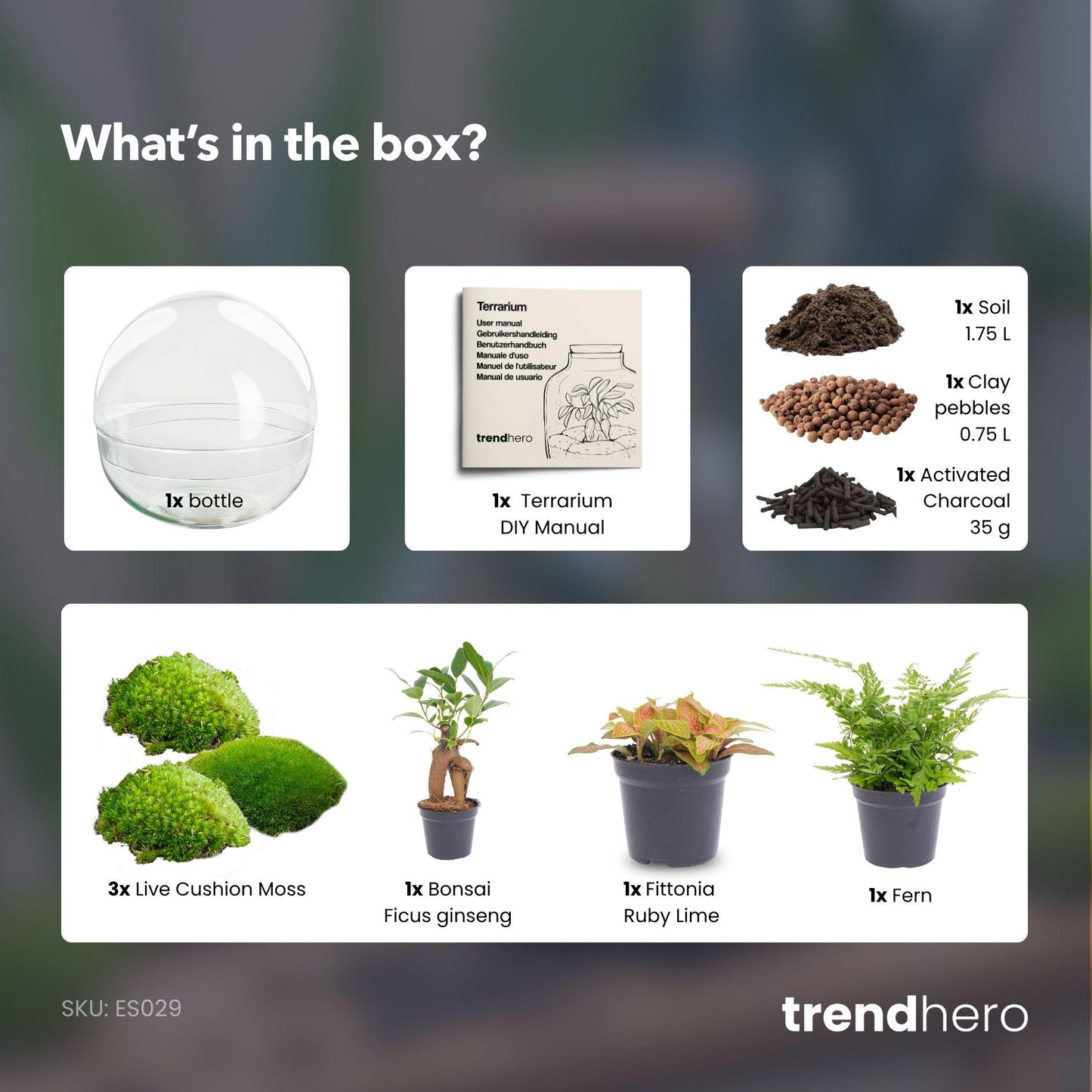 DIY Planten terrarium | Dome XL Bonsai | Ecosysteem