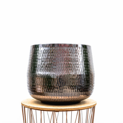 Jenna Lead kamerplant met bijna zwarte, glanzende bladeren in een sierlijke pot – hoogte 29 cm, potmaat 29 – moderne en stijlvolle blikvanger voor in huis.