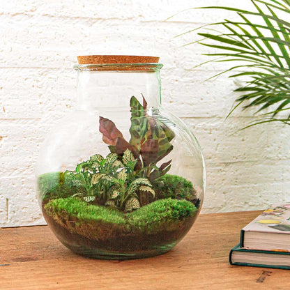 DIY Planten Terrarium met Licht | Inclusief Rake, Shovel, Tweezer en Scissors
