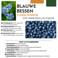 3 x of 5 x Vruchten Feest buitenplant | BIO Fruitplanten Mix - Planttoday