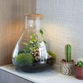 'LOVE MOM' terrarium Sam + gegraveerde kurk met licht - Fles terrarium DIY kit | Moederdag
