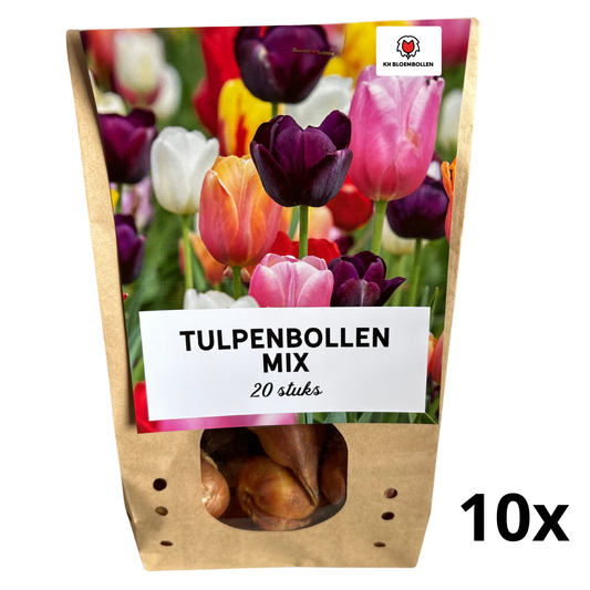Zakje tulpenbollen mix 20 stuks – KH Bloembollen. Als kadoTulpenbollen mix KH Bloembollen kleurrijke tuin