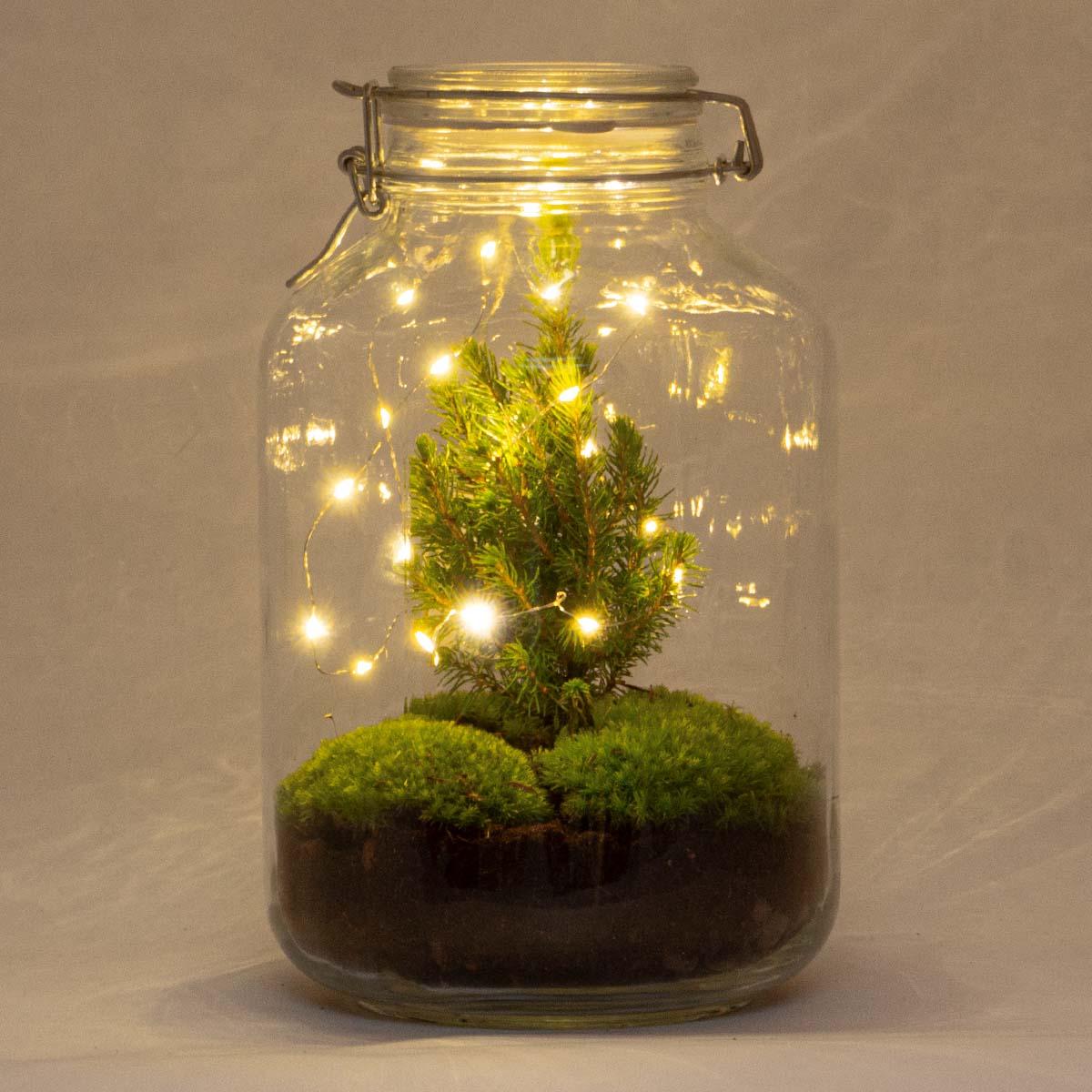 DIY terrarium | Jar Christmas | Jingle  bells