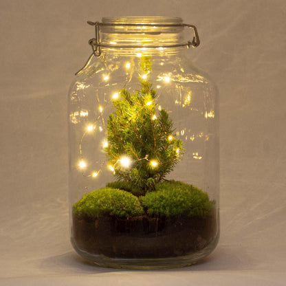 DIY terrarium | Jar Christmas | Jingle  bells