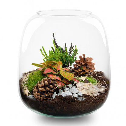 Berry Kerstmis Terrarium | DIY Planten Terrarium