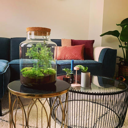 DIY terrarium | Jar Christmas | Jingle  bells