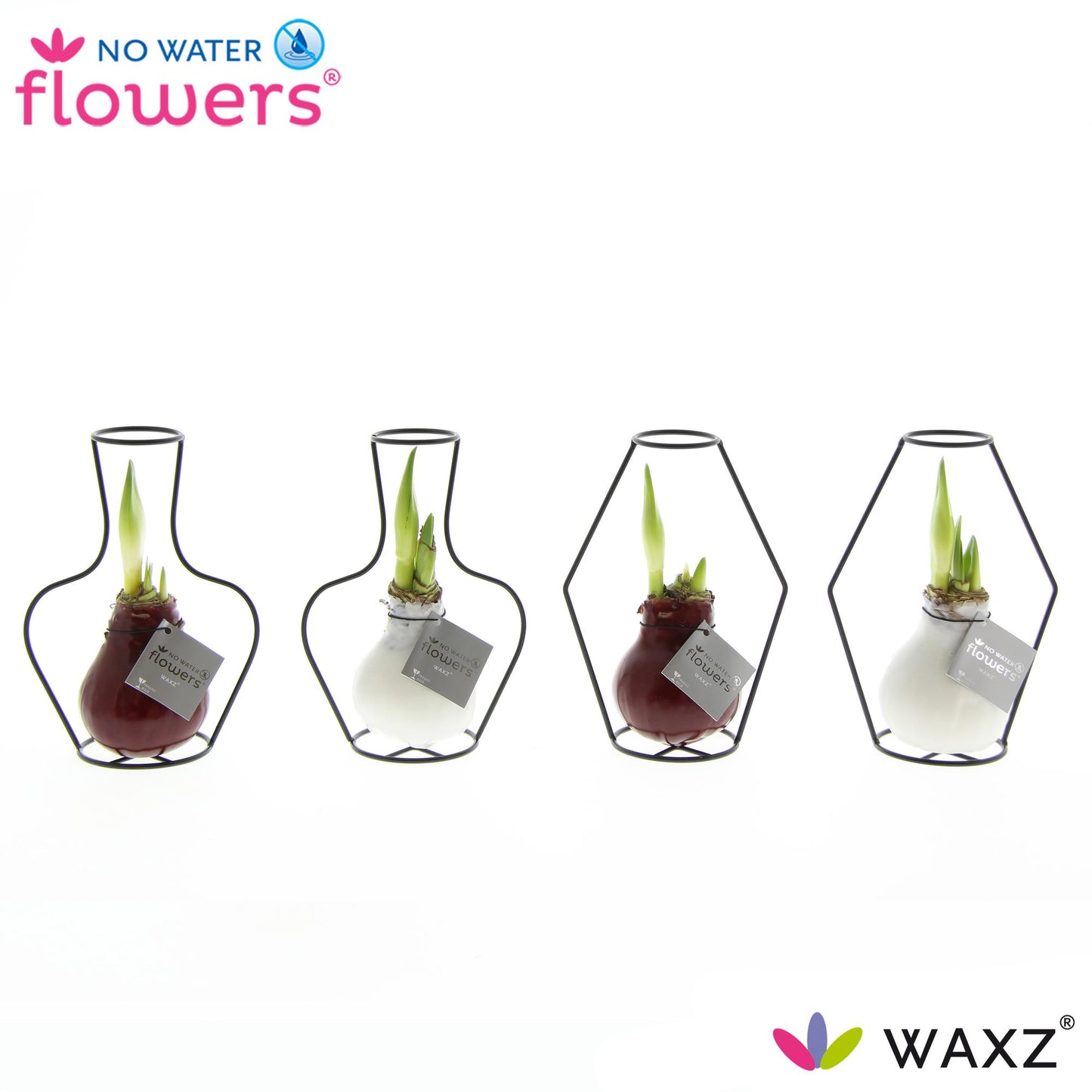 Onderhoudsvrije Waxz bloemen mix voor binnen