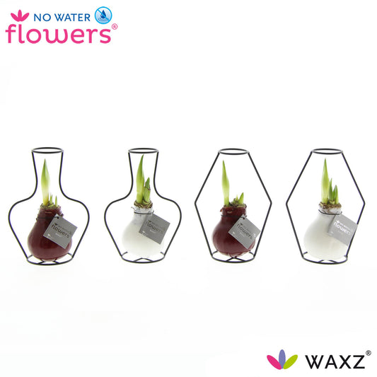 Onderhoudsvrije Waxz bloemen mix voor binnen