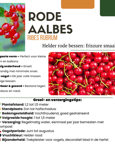 Biologisch SKAL-gecertificeerd fruitplanten pakket met zomerse bessen en vruchten