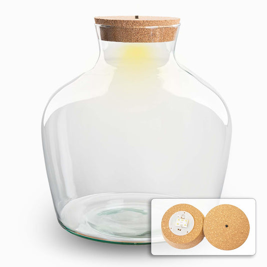 Grote glazen terrariumfles met verlichting voor binnengebruik