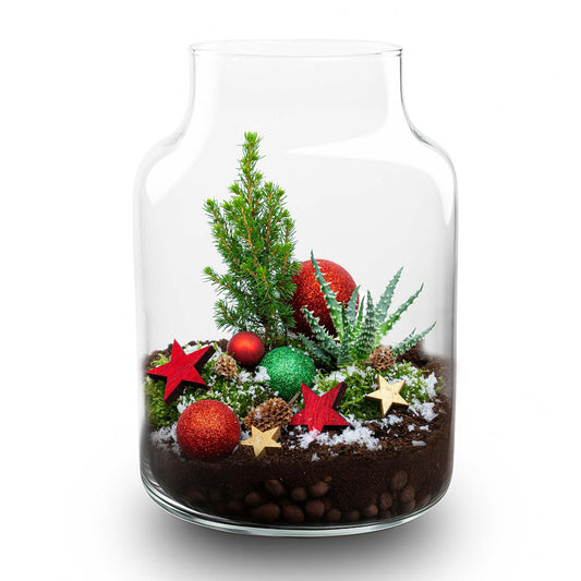 Frosty Kerstmis terrarium | Planten terrarium | DIY kit Christmas