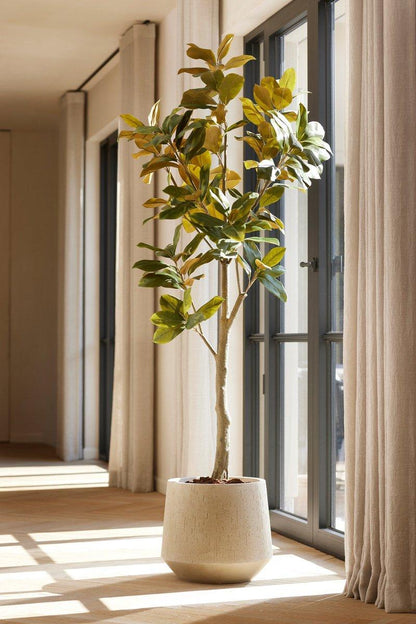 Magnolia Denudata Kunstboom 150 cm – Witte Kunstplant voor Woonkamer & Kantoor