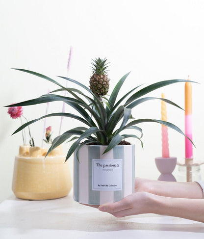 Ananas Rosita Gift | "The Passionate" | WITH GREETING CARD!