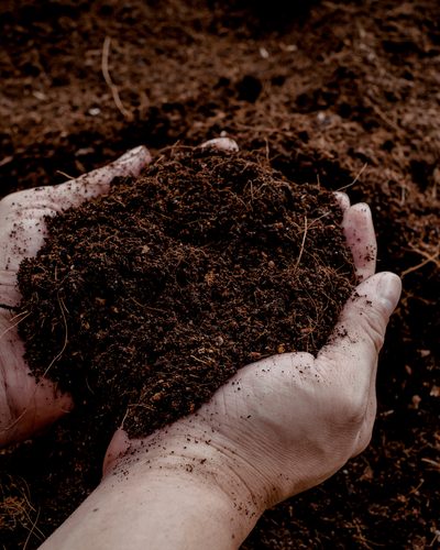 Potgrond Universeel 30 Liter Kopen |Voor Binnen- en Buitenplanten