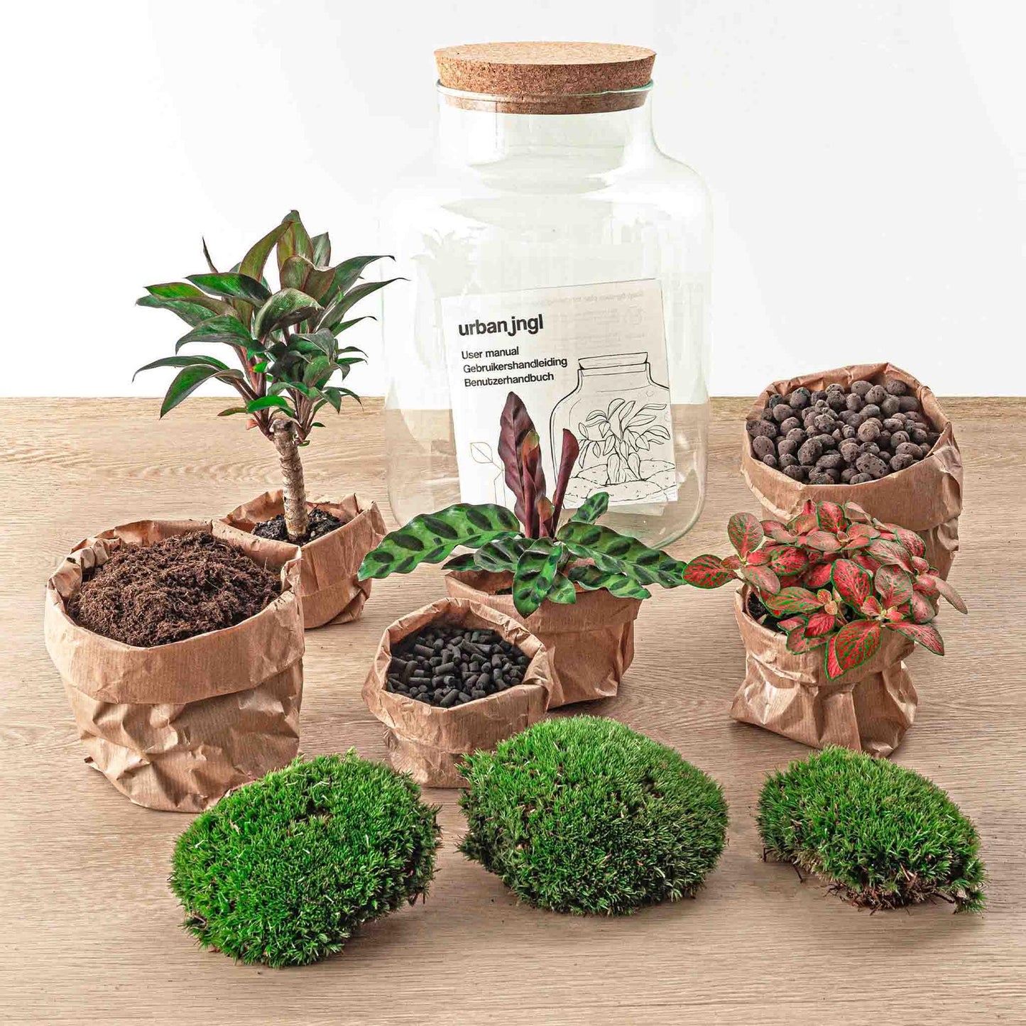 DIY terrarium - Milky Palm - ↕ 30 cm.mini-jungle in een fles