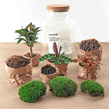 DIY terrarium - Milky Palm - ↕ 30 cm.mini-jungle in een fles